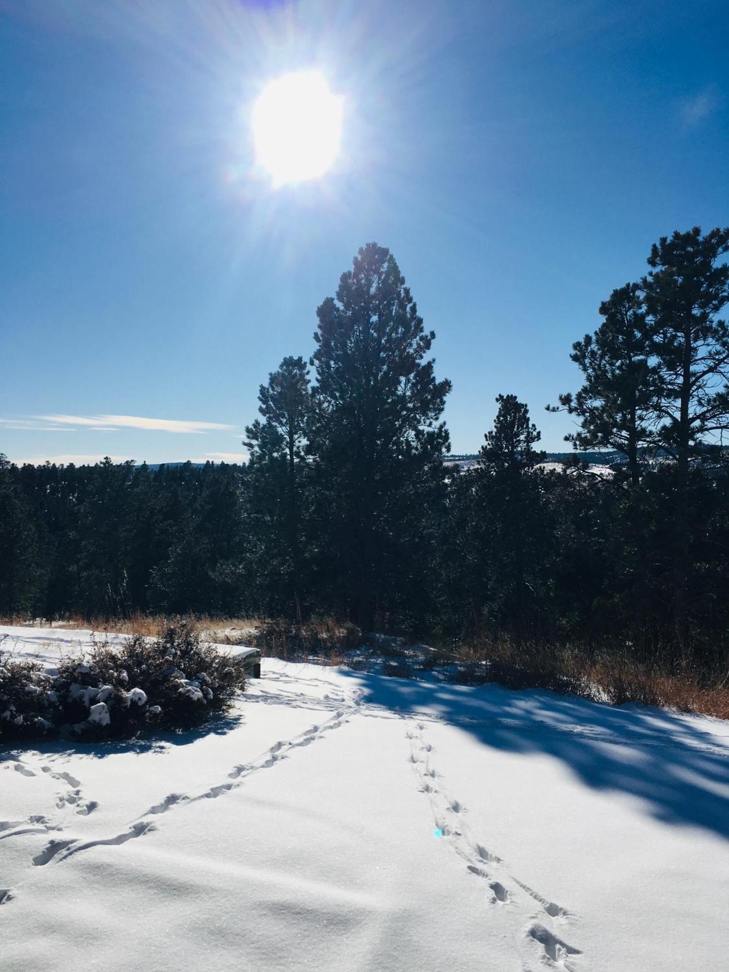 Priceless Black Hills View Rapid City Exteriör bild