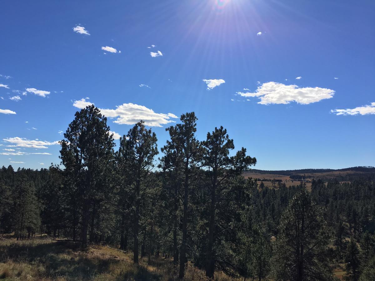 Priceless Black Hills View Rapid City Exteriör bild